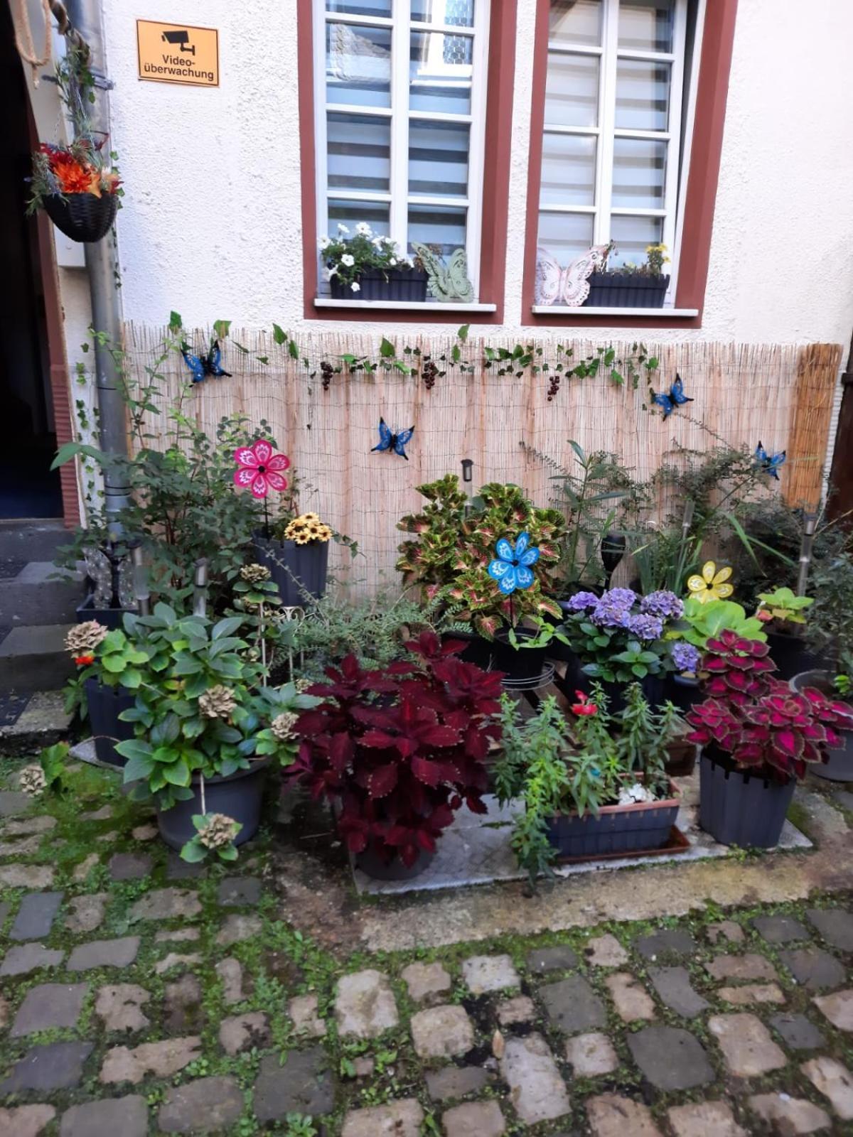 Kleine Altstadt Oase Apartment Bernkastel-Kues Exterior photo
